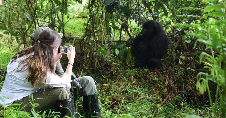3 Days Bwindi Gorilla Trekking Safari Tour