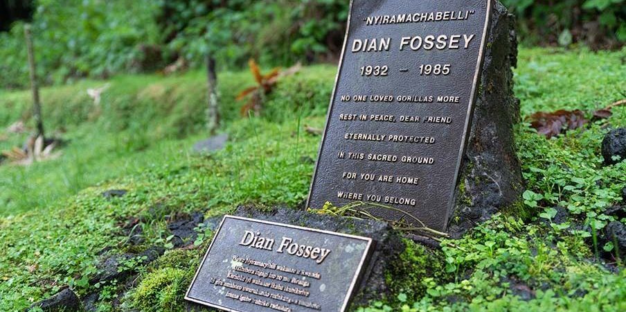 4 Days Gorilla & Dian Fossey Hike Rwanda