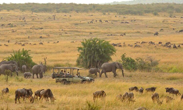 9 Days Rwanda Safari Tour